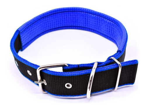 Collar Reforzado 4.5x70cm C/protector Lh-1093