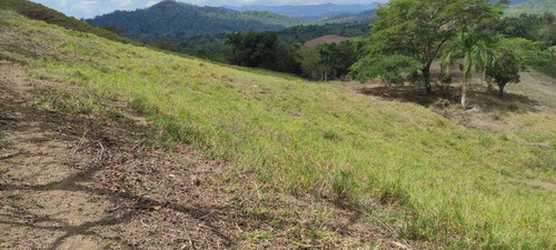 Te Vendo Una Excelente Finca Peralvillo Monte Plata
