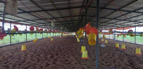 Imagen 2 de 13 de Finca En Venta El Tejero