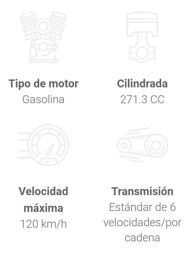 Motocicleta Italika Dm300