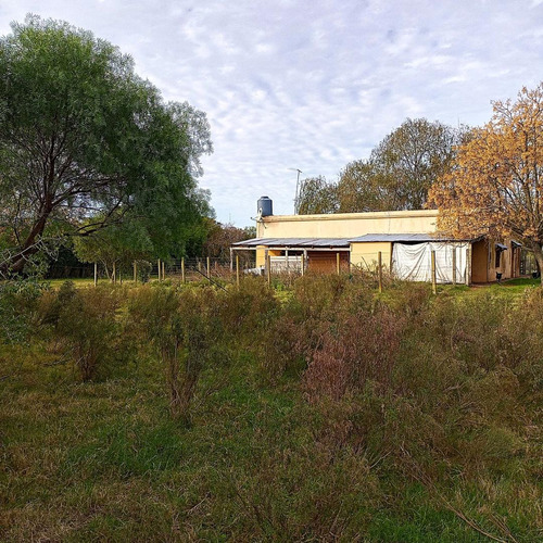 Imagen 7 de 16 de Venta Chacra De 7 Ha. En Zona De Gran Potencial