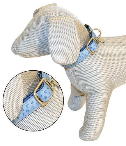 Collar Para Perros Vanity 35 - 50 Cm X 20 Mm - Celeste