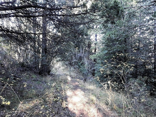 Terreno Fraccion En Venta Ubicado En Villa Lago Gutierrez, Bariloche