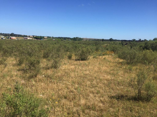 Vende Chacra En Excelente Punto Sobre Camino A 1 Km De Ruta