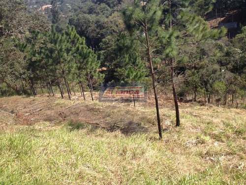 Terreno À Venda, 1000 M² Por R$ 128.000 - Água Azul - Guarulhos/sp - Ai189