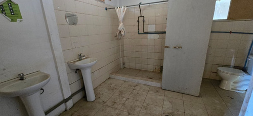 A Pasos De Rotonda Concón, Zeu Pi, Industrial Inofensiva