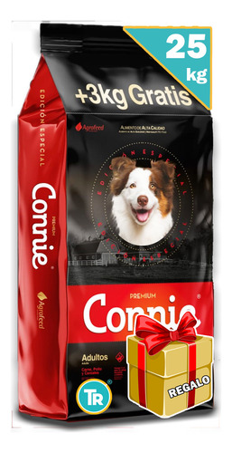 Connie Adulto De Lager 24kg C/salsa + Envío S/cargo*