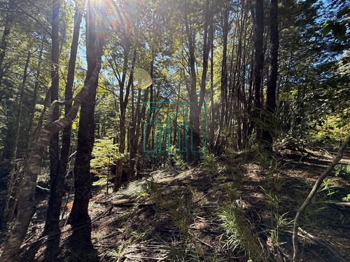 2,6 Ha Palguin Alto - Pucon