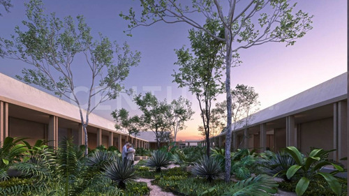 Imagen 18 de 29 de Preventa De Lotes Residenciales De Inversión En Telchac Yucatán