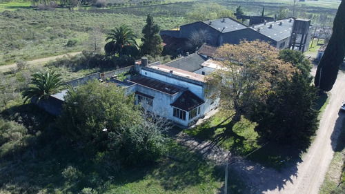 Venta Bodega O Deposito 10 Hectareas, Toledo Chico