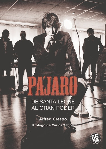 Pajaro De Santa Leone Al Gran Poder, De Crespo Andres,alfred. Editorial 66 Rpm Edicions,s.l En Español