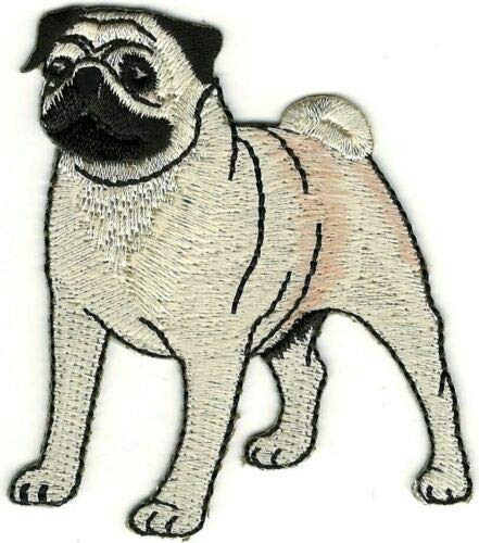 Parche Aplique Bordado Canino Raza Perro Pug Realista 3 