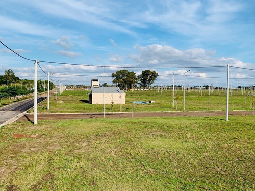 Imagen 5 de 9 de Lotes En Venta Con Todos Los Servicios - Ecopueblo Alvear