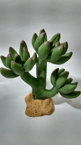 Planta Artificial Cactus Suculenta Aquário Terrário Ambiente