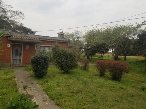 Imagen 10 de 14 de Venta Chacra San Fuentes 3692, 3 Hectáreas!!!