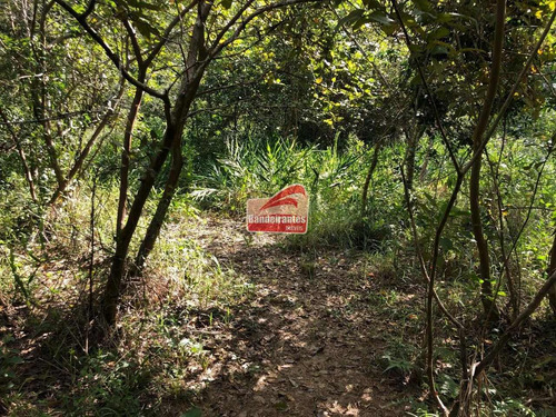 Chácara À Venda, Fazendinhas Amaro - Lagoa Santa/mg - 1393