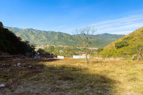 Imagen 2 de 4 de Venta De Terreno En Lozano
