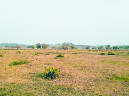Venta Terreno 8224 M² Frente Al Estero Tuxpan Veracruz