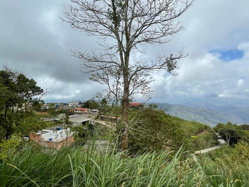 Imagen 4 de 4 de Terreno En Venta