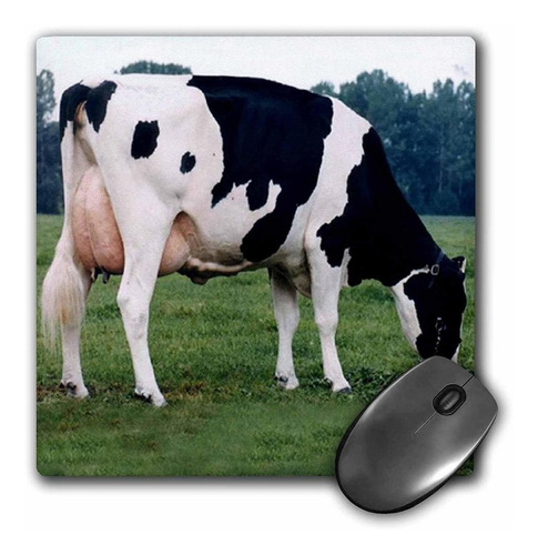 3drose Llc 8 x 8 x 0.25 inches Mouse Pad, Holstein Vaca (