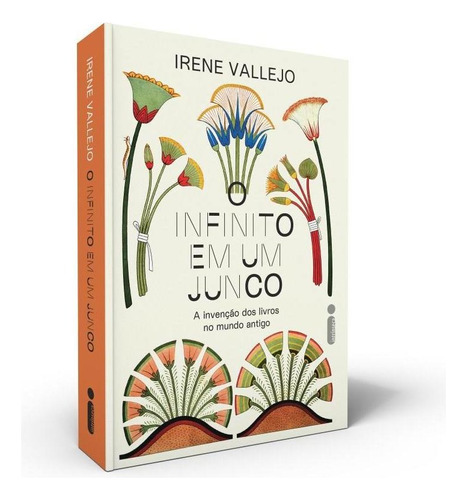 O Infinito Em Um Junco: A Invenção Dos Livros No Mundo Antigo, de Vallejo, Irene. Editora Intrínseca Ltda.,Siruela, capa mole, edição brochura em português, 2022