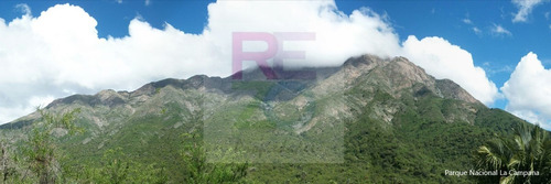 :::: Conecta Con La Tierra. Tranquilidad Y Naturaleza ::::