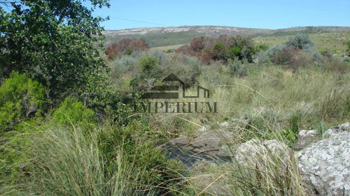 Venta, Campo 98 Hectáreas En Sierras De Carapé