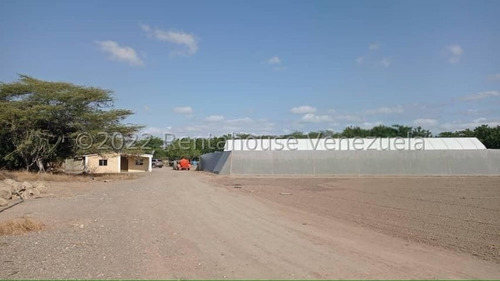 Imagen 2 de 30 de Fina En Venta Quibor Estado Lara, 04245937542