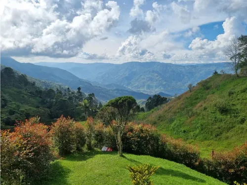 Lote En Vender En Barbosa