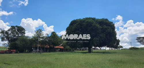 Imagem 9 de 18 de Fazenda Na Região De Bauru À Venda, 118 Alq Por R$ 15.000.000 - Bauru - Bauru/sp - Fa0016