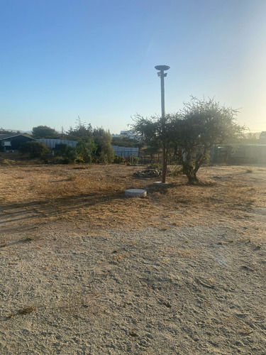 Limache Se Vende Parcela De 5000 Mts2