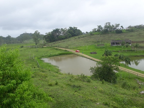 Imagem 8 de 14 de Magnífica Fazenda Em Pariquera-açu Medindo 58 Alqueires