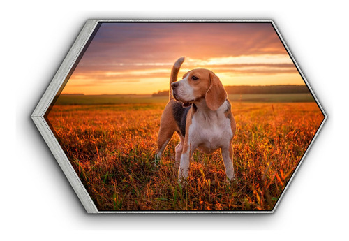 Cuadro Enmarcado Hexagonal Retrato De Perro Beagle 60x90cm