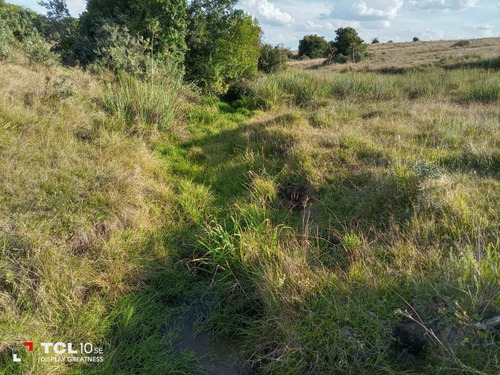 Imagen 13 de 15 de Campo Ganadero 232 Hectáreas (90 Hectáreas Son De Soja) .ruta 9