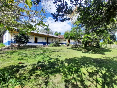 Venta Finca Montenegro Sector Vereda Pueblo Rico - 11 Cuadras