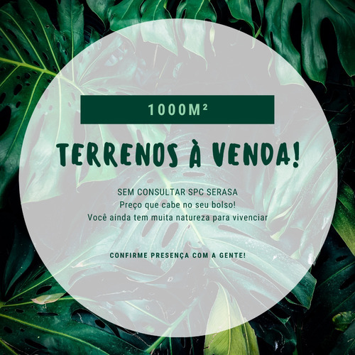 Terrenos Com A Melhor Área De 1000m².