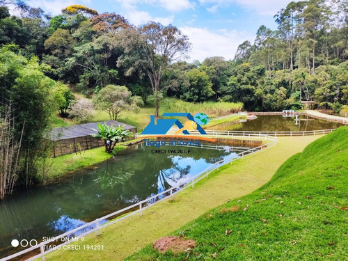 Imagem 11 de 15 de Sítio A Venda Em Atibaia Para Pessoas Amantes Da Natureza - 767