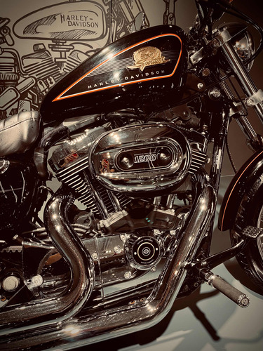 Harley Davidson 50 Aniversario Limited 1200 Df_motorcycles