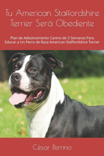 Tu American Staffordshire Terrier Sera Obediente: Plan De Ad