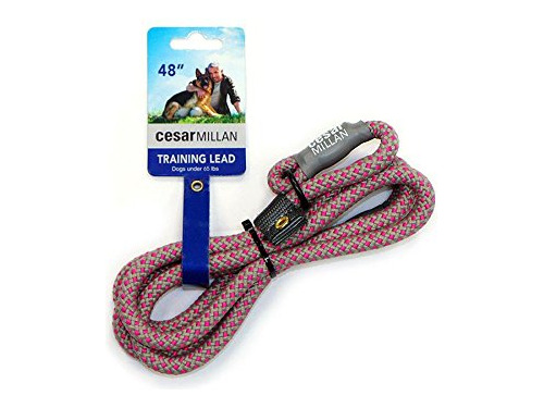 Cesar Millan Correa Deslizan - 7350718:mL a $182990