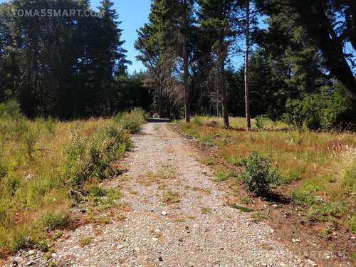 Imagen 4 de 5 de Terreno - Bariloche