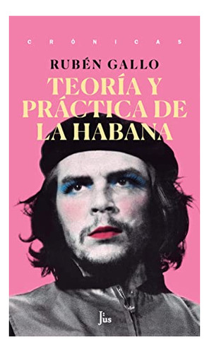 Libro Teoria Y Practica De La Habana De Gallo Ruben
