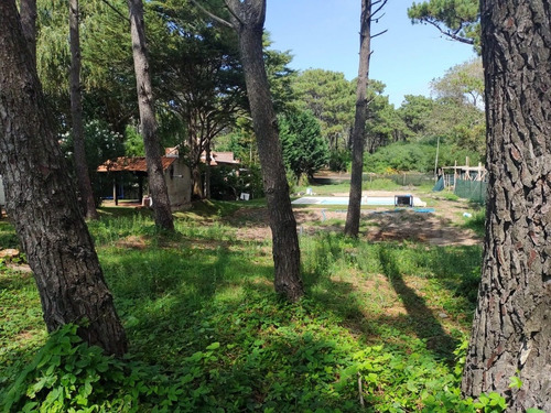 Imagen 4 de 4 de Lote Exclusivo, Apto Para 2 Unidades A 120 Mts De La Playa.