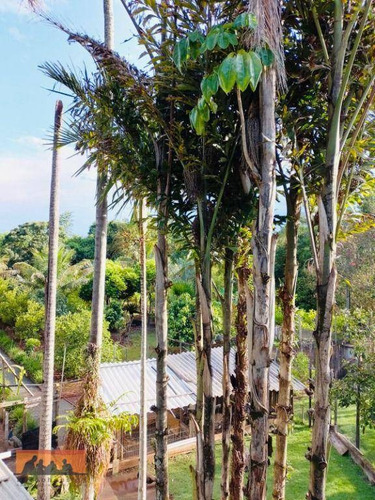 Imagem 1 de 30 de Chácara À Venda, 4034 M² Por R$ 1.500.000,00 - Residencial Burato - Campinas/sp - Ch0040