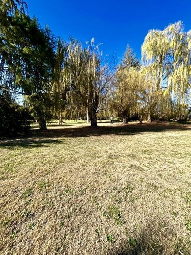 Casa En Venta De 4 Dorm. Curimon En San Felipe.