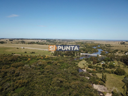Imagen 3 de 13 de Campo En Garzón Venta Turístico