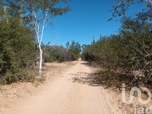 Venta Terreno 0 Ambiente Ensenada De Muertos