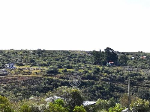 El Chiringuito En Villa Serrana