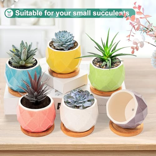 Conjunto De 6 Macetas Pequeñas Para Suculentas - Mini Maceta