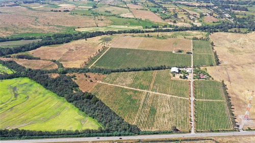 Imagen 16 de 18 de Agrícola En Venta En Ñiquén
